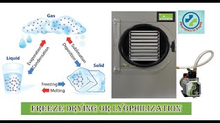 Freeze drying or Lyophilization in depth [upl. by Eintroc]