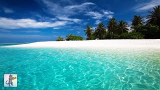 Breathtaking Beaches 🌊 Amazing Nature Scenery amp The Best Relax Music [upl. by Nocaed]