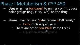 Phase I Metabolism  Pharmacology Lect 7 [upl. by Eltsryk]