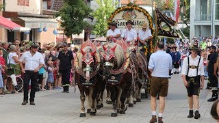 Die Highlights vom Volksfestauszug 2019 [upl. by Riggs]