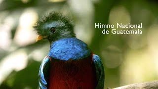 HIMNO NACIONAL DE GUATEMALA [upl. by Anola]