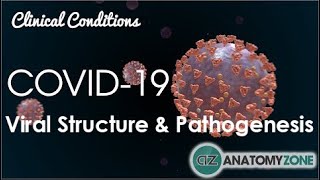 Coronavirus COVID19  Viral Structure amp Pathogenesis [upl. by Au]