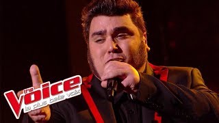 Francis Cabrel – La Corrida  Yoann Launay  The Voice France 2015  Prime 2 [upl. by Sasnett]