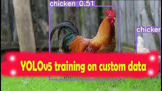 YOLOv5 training with custom data [upl. by Ehav]