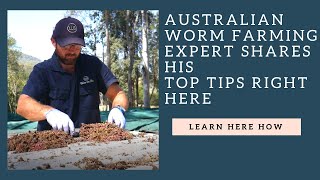 Australian Worm farming expert shares HIS TOP TIPS [upl. by Gipsy]