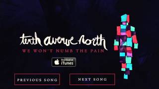 We Wont Numb The Pain  Tenth Avenue North Official Audio [upl. by Ahcsas647]