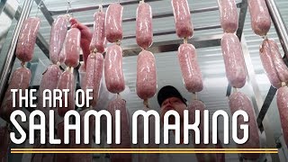 Salami Making  How to Make Everything Preservatives [upl. by Bashemath]