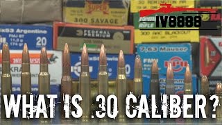 Firearms Facts 30 Caliber Explained [upl. by Angie236]