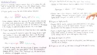 Properties of Enzymes [upl. by Andrew]