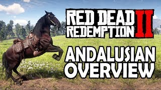 Andalusian Overview  Red Dead Redemption 2 Horses [upl. by Sairacaz929]