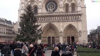 All bells ringing at Notre Dame Cathedral in Paris [upl. by Erminie]