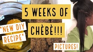 FIVE WEEKS OF AFRICAN CHEBE POWDER  NEW RECIPE [upl. by Lucius829]