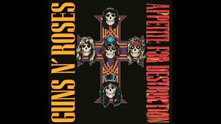 NWA  Appetite For Destruction HD 1991 [upl. by Haimrej217]