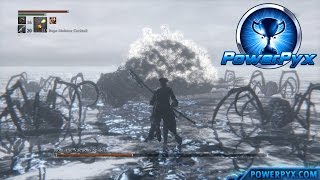 Bloodborne  Great One Rom the Vacuous Spider Boss Fight Boss 8 [upl. by Amisoc347]