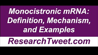 Monocistronic mRNA Definition Mechanism and Examples [upl. by Bogoch]