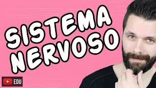 SISTEMA NERVOSO  FISIOLOGIA  Aula  Biologia com Samuel Cunha [upl. by Kristel137]