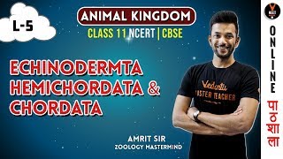 Echinodermata Hemichordata and Chordata  Animal Kingdom CBSE Class 11 Biology Chapter 4NEET 2020 [upl. by Yolande]