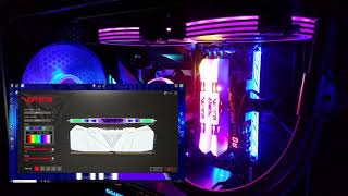 Viper RGB RAM  Lighting Guide [upl. by Ydderf77]