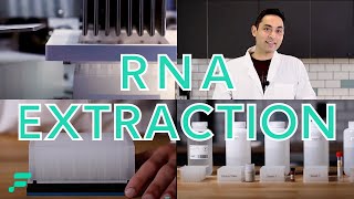 RNA Extraction Demonstration [upl. by Eiliab1]