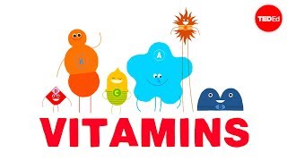 How do vitamins work  Ginnie Trinh Nguyen [upl. by Esiouqrut258]