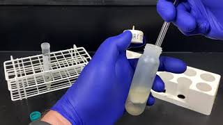 Extraction of DNA from E coli [upl. by Luhar904]