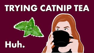 How Does Catnip Work and What Can It Do — Huh [upl. by Lalita]