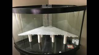 54 gal paludarium build with waterfall DIY tutorial [upl. by Ayaladnot572]