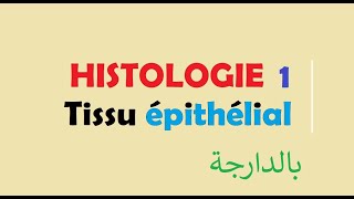 cours HISTOLOGIE Ep 1  Tissu épithélial [upl. by Irpak796]