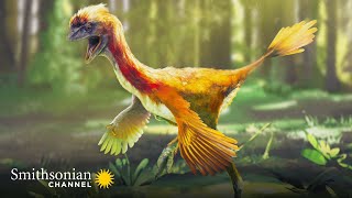 Prehistoric Dinosaur Bird Fossils Found in China Are Amazingly Detailed  Smithsonian Channel [upl. by Ellenaj]