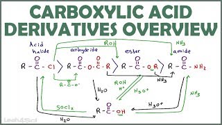 Carboxylic Acid Derivatives Overview and Reaction Map [upl. by Liryc530]