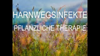 Harnwegsinfekte Teil 1  Pflanzliche Therapie [upl. by Nimajaneb15]