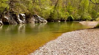 Tennessee CREEK Fishing for GIANT Smallmouth Bass [upl. by Pat375]