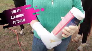 Sheath Cleaning Tutorial for Horses [upl. by Eizus]