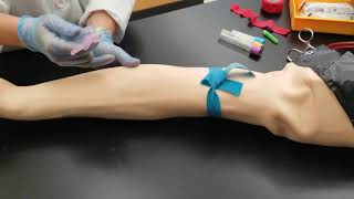 Phlebotomy Venipuncture Procedure [upl. by Naahsar]