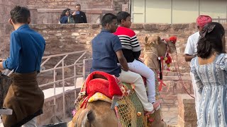 Mehrangarh Fort Jodhpur Rajasthan [upl. by Aivital]