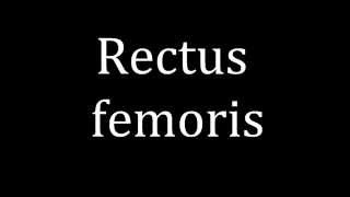 How to pronounce Rectus femoris [upl. by Adrianna]