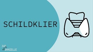 Schildklier en schildklierhormonen [upl. by Zeret]