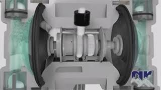 Dr Ginsburg Explains the Human Diaphragm [upl. by Nauqal]