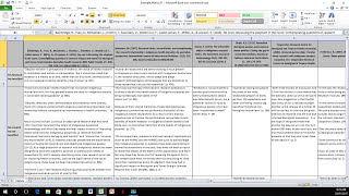 How to Create a Literature Matrix Excel [upl. by Bihas]