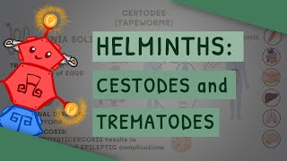 Helminths Cestodes and Trematodes transmission clinical importance and treatment [upl. by Yzdnil]