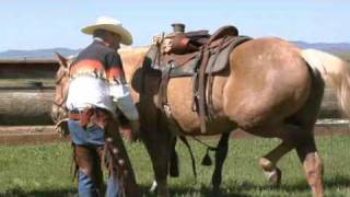 How to Western Saddle a Horse [upl. by Trinidad]