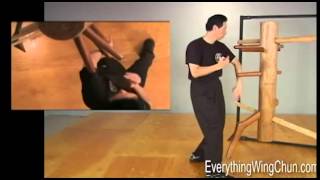 Samuel Kwok Wing Chun fighting applications DEMO [upl. by Stedmann]