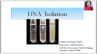 DNA Isolation [upl. by Saduj188]