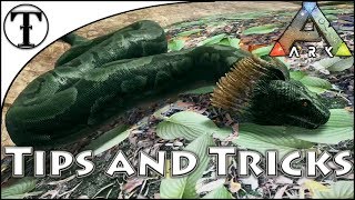 Fast Titanoboa Taming Guide  Ark  Survival Evolved Tips and Tricks [upl. by Neidhardt]