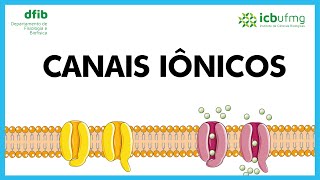 Vídeo curto  Canais Iônicos [upl. by Lebyram]