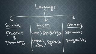 SEMANTICS1 What is Semantics [upl. by Pachton49]