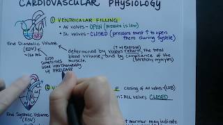 Cardiac Cycle  Cardiovascular Physiology [upl. by Leuqar]