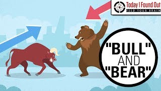 Why are Bull and Bear Markets Called That [upl. by Bradly]