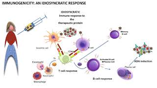 Immunogenicity explained in 6 minutes [upl. by Hnah]