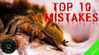 TOP 10 Mistakes Keeping Tarantulas amp Spiders  DONT DO THIS [upl. by Aneroc]